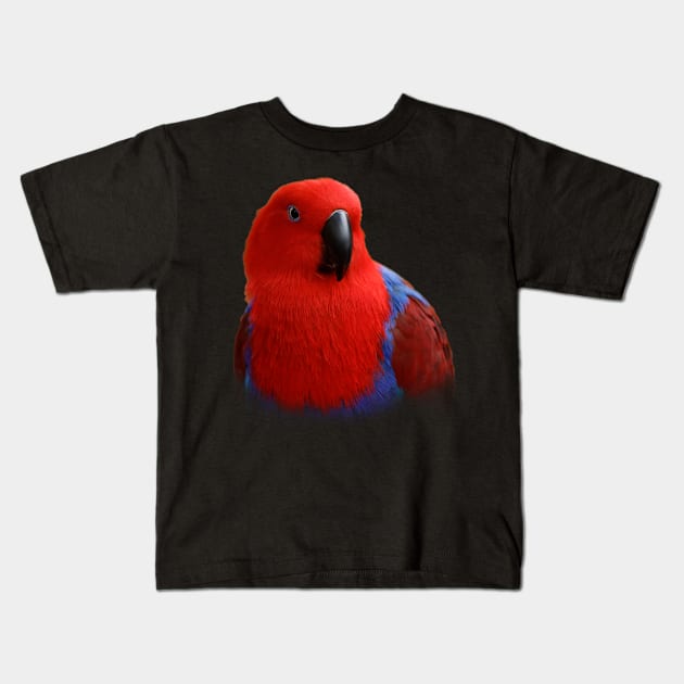 Beautiful Lady in Red Eclectus Parrot Kids T-Shirt by walkswithnature